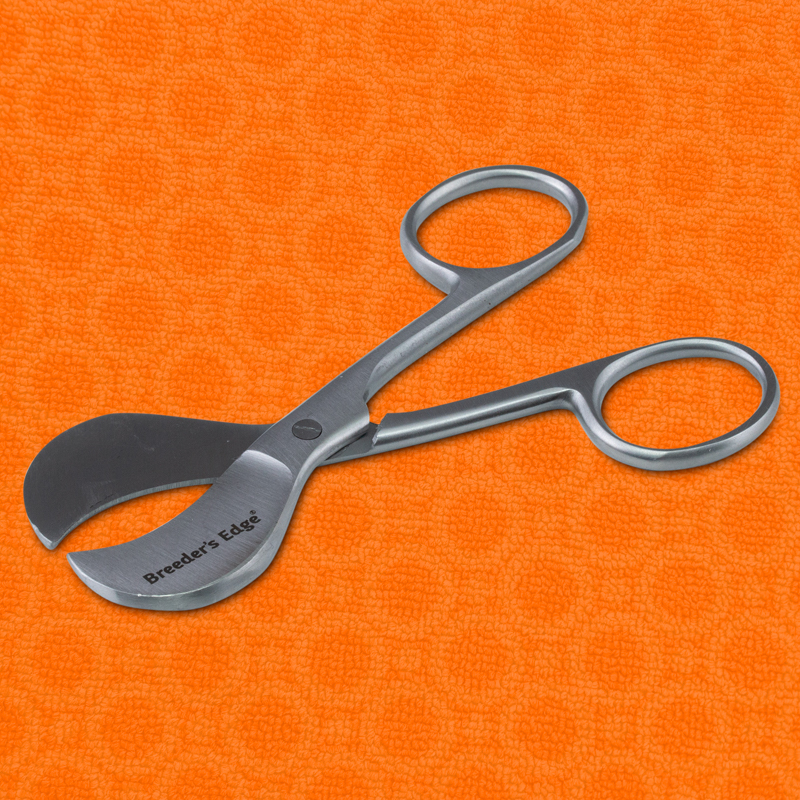 clean cut umbilical scissors