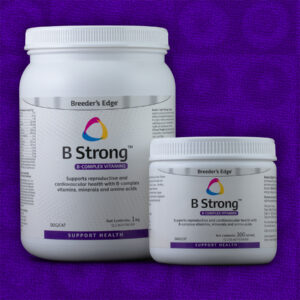b strong vitamin b complex for dogs and cats