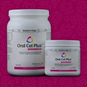 oral cal plus powder calcium for dogs and cats