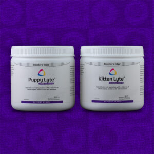 puppy lyte kitten lyte electrolytes for dogs and cats