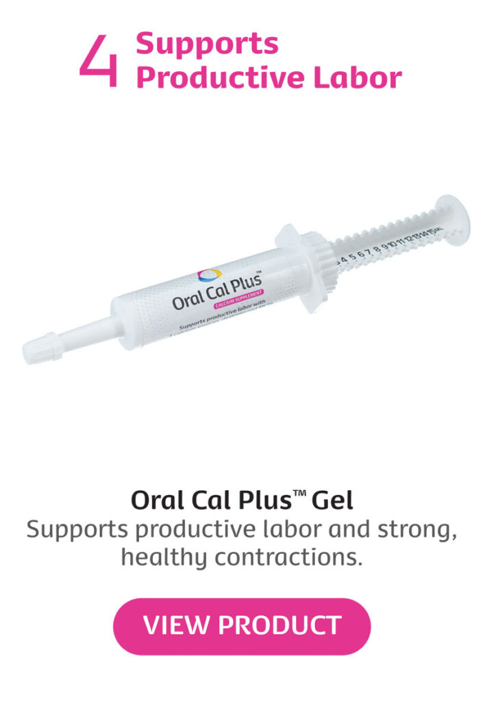 Oral Cal Plus Gel