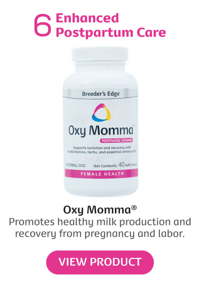 Oxy Momma