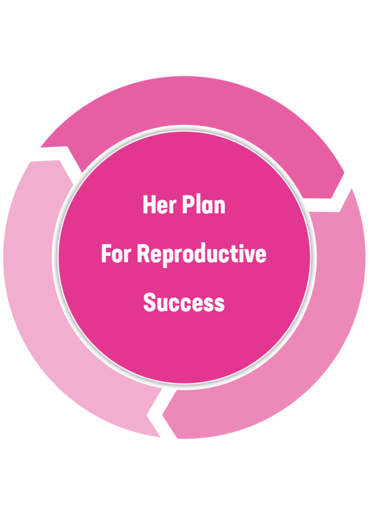 Her Plan for Reproductive Success